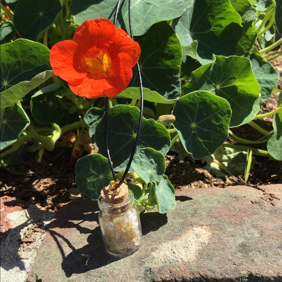 Crystals (Gold Rutilated) In A Bottle Mini - Picture 2 of 2